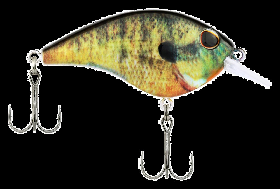 Bass Pro Shops | RockPorch